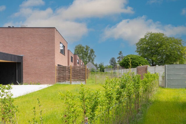 Cooppallaan Wetteren