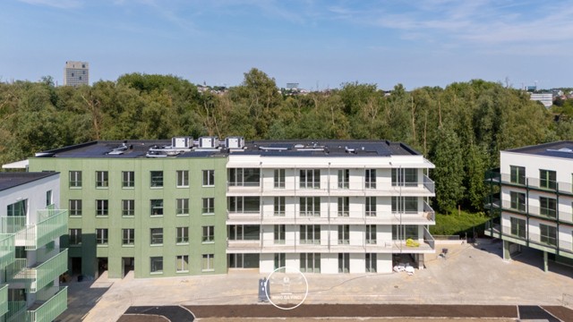 Steenanjer 5.0.4