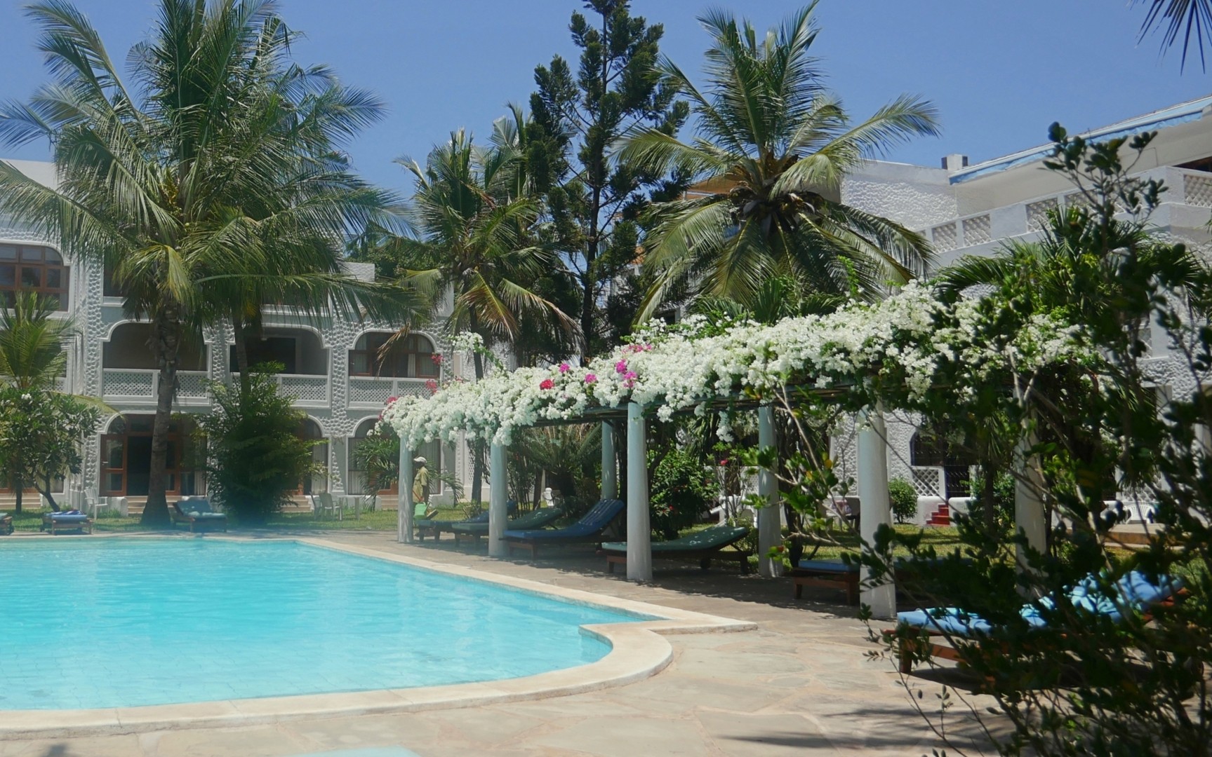 El Mufasa Luxury Apartments with pool and garden 6