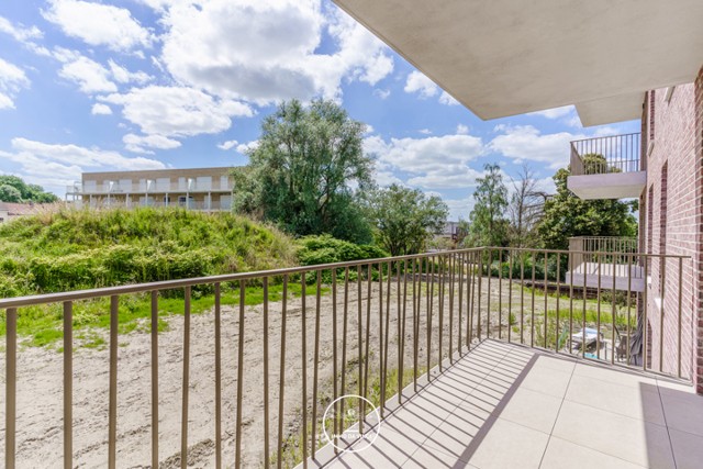 Gaverling - comm(casco)