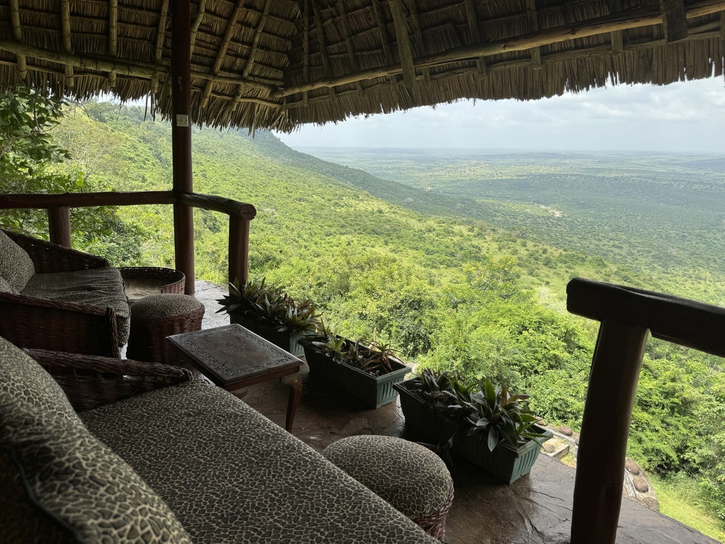 Kutazama lodge - Shimba Hills 25 acres overlooking Elephant Sanctuary 6