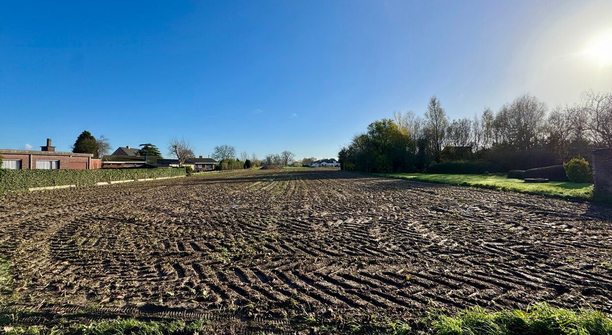 Bouwgrond (projecten) te koop in Deinze