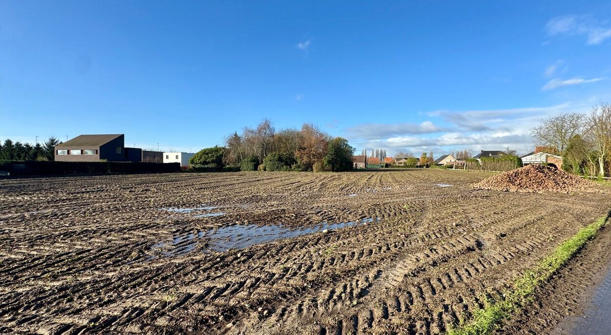 Bouwgrond (projecten) te koop in Deinze