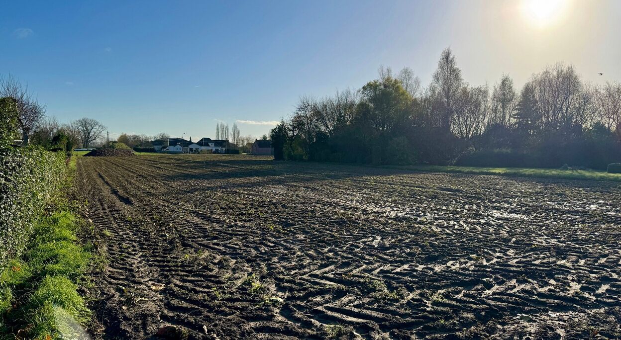 Bouwgrond (projecten) te koop in Deinze