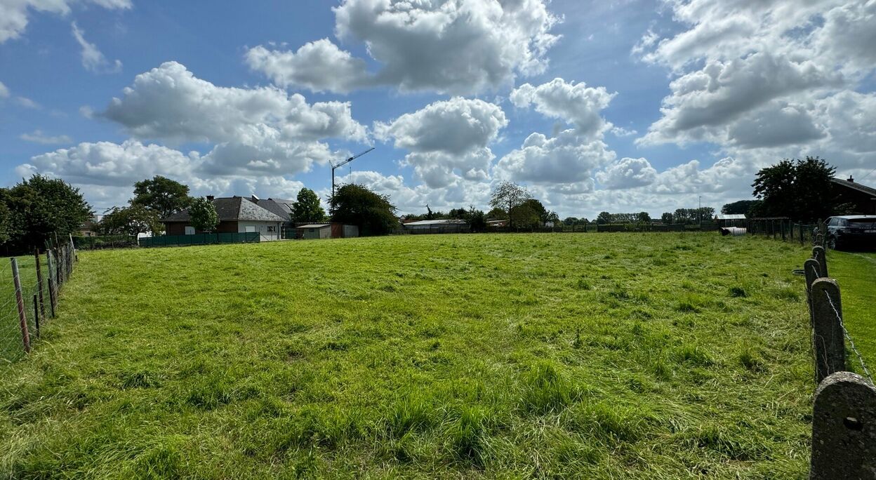 Bouwgrond (projecten) te koop in Zottegem