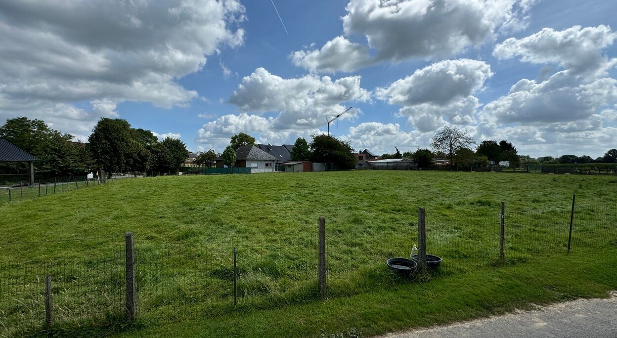 Bouwgrond (projecten) te koop in Zottegem