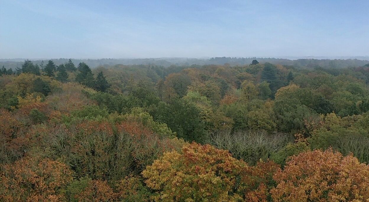 Bouwgrond te koop in Zedelgem