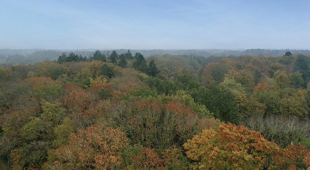 Bouwgrond te koop in Zedelgem