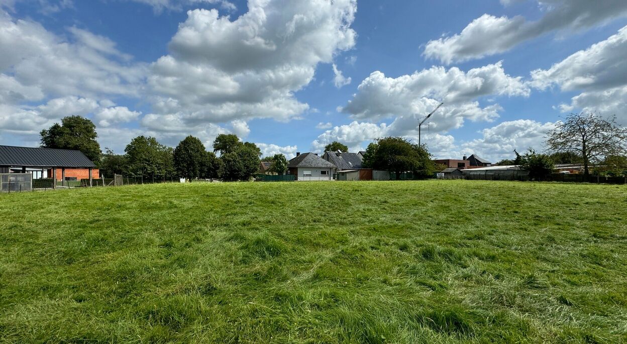 Bouwgrond te koop in Zottegem