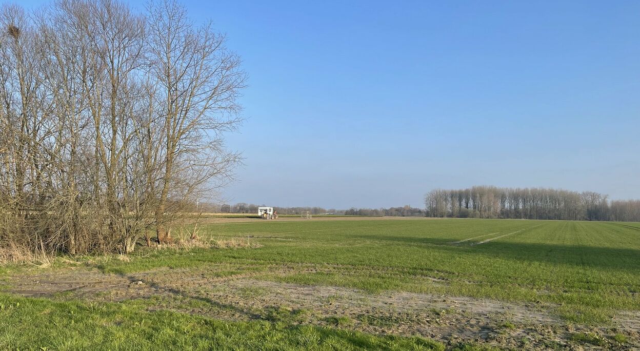 Landbouwgrond te koop in Wetteren