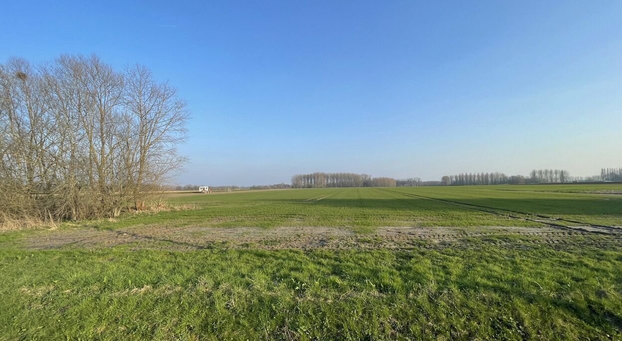 Landbouwgrond te koop in Wetteren