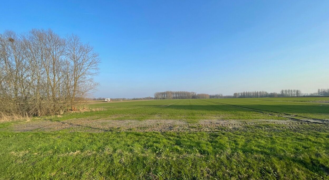 Landbouwgrond te koop in Wetteren